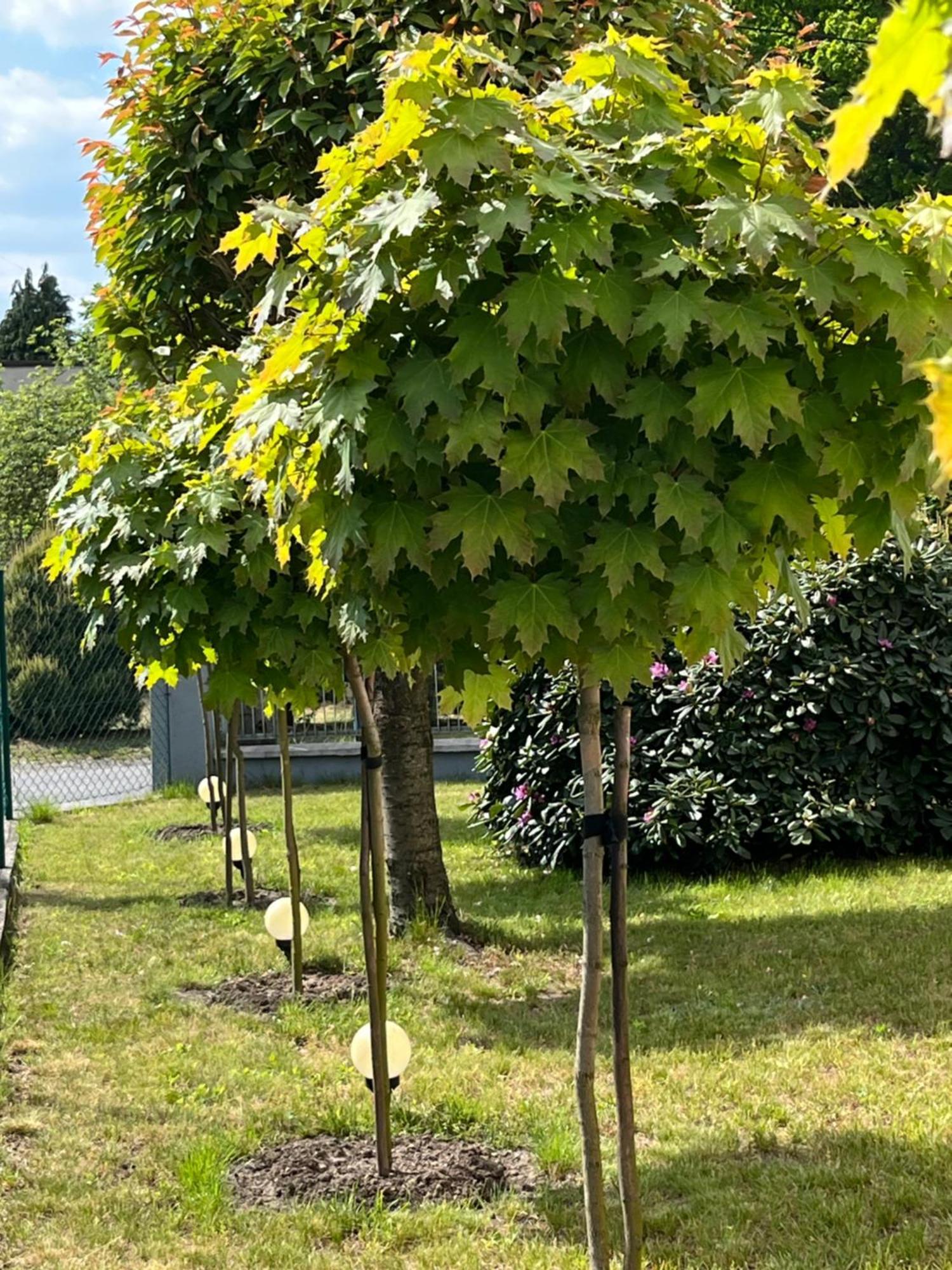 Apartament Lesny Szczejkowice Exteriör bild